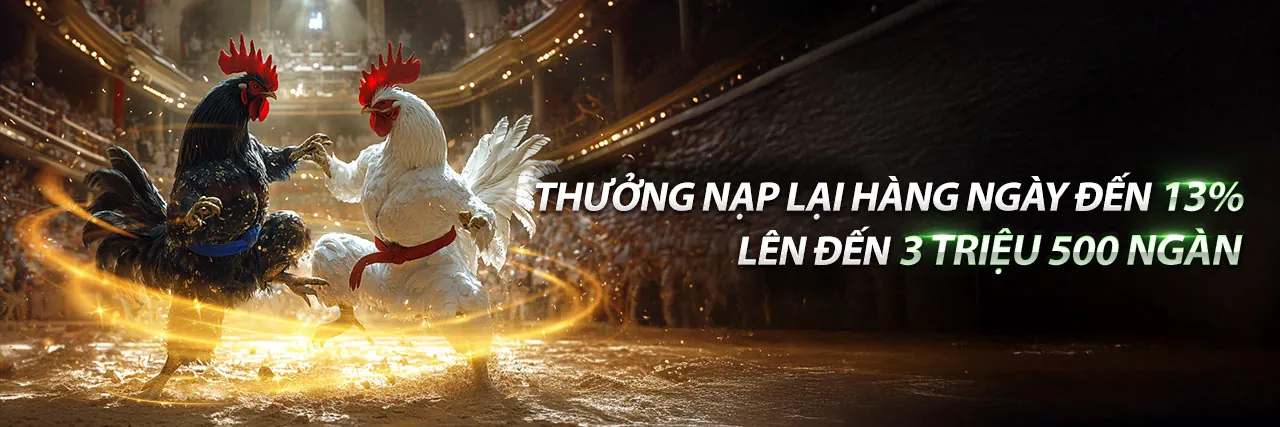 Đá Gà Trực Tuyến S6666 App